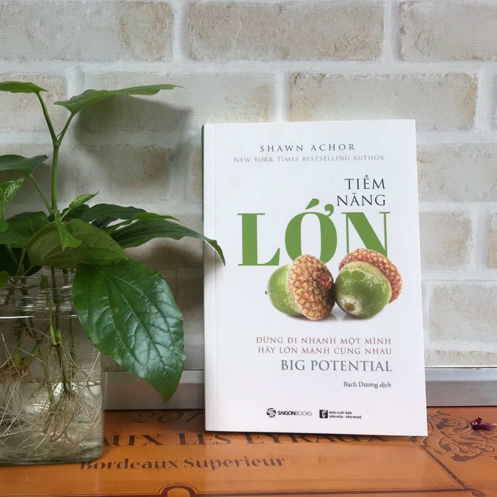 SÁCH: Tiềm năng lớn - Đừng đi nhanh một mình, hãy lớn mạnh cùng nhau (Big Potential) - Tác giả: Shawn Achor