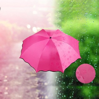 Ô Dù ma thuật gặp nước nở hoa chống tia UV