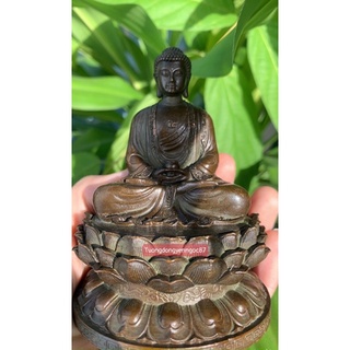 Tượng đồng phật bổn sư thích ca (cao 10 cm )