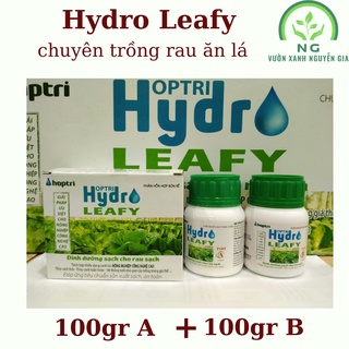 Dinh dưỡng Rau Ăn Lá Hydro Leafy (A+B) 200gr