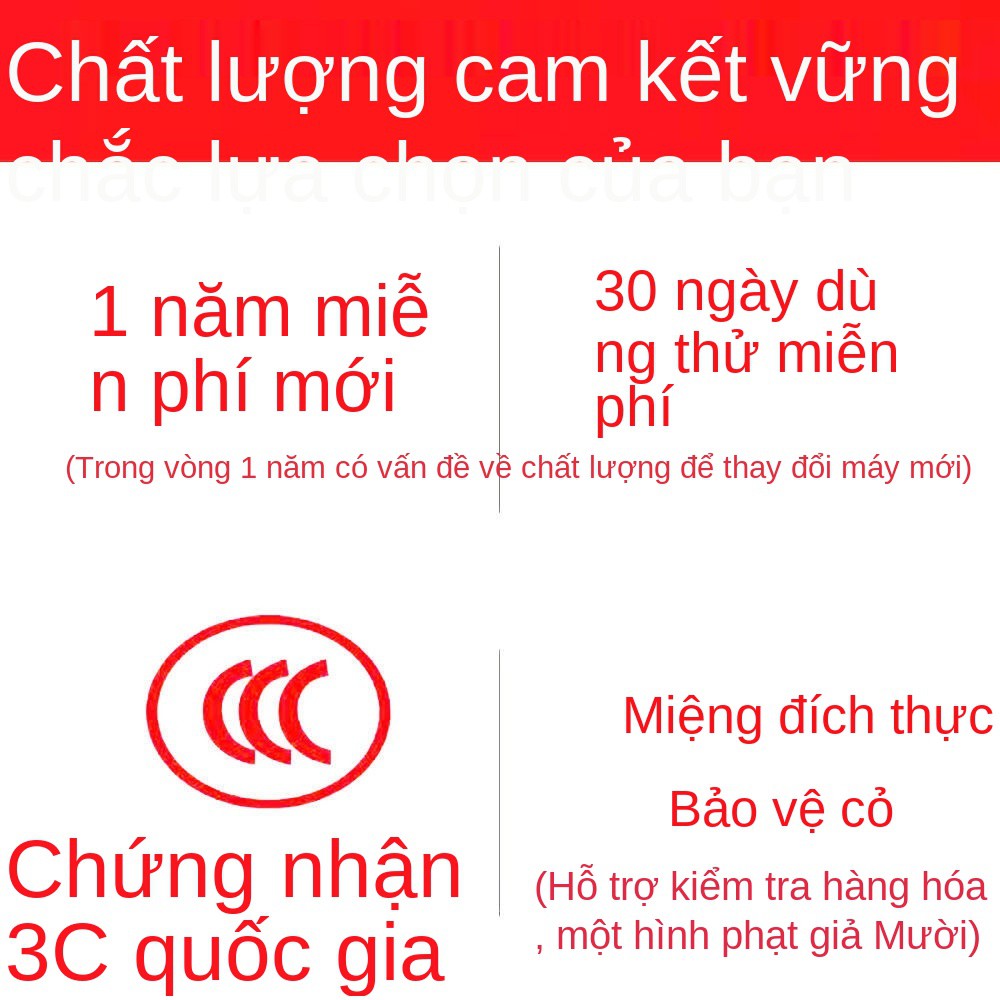 Lược làm tóc thẳng lười, máy uốn mới, que xoăn cuộn trứng công dụng kép, kẹp học sinh sóng lớn stick