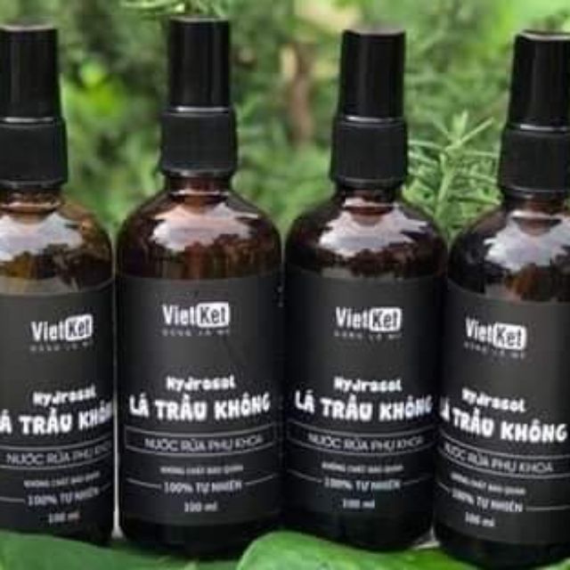 Nước cất trầu không Việt kết