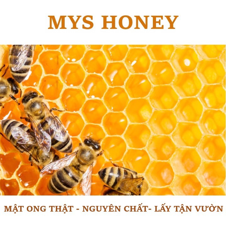 Mật ong cà phê  nguyên chất (SỈ&LẺ) 500 ml lít Mật ong thật Mys Honey