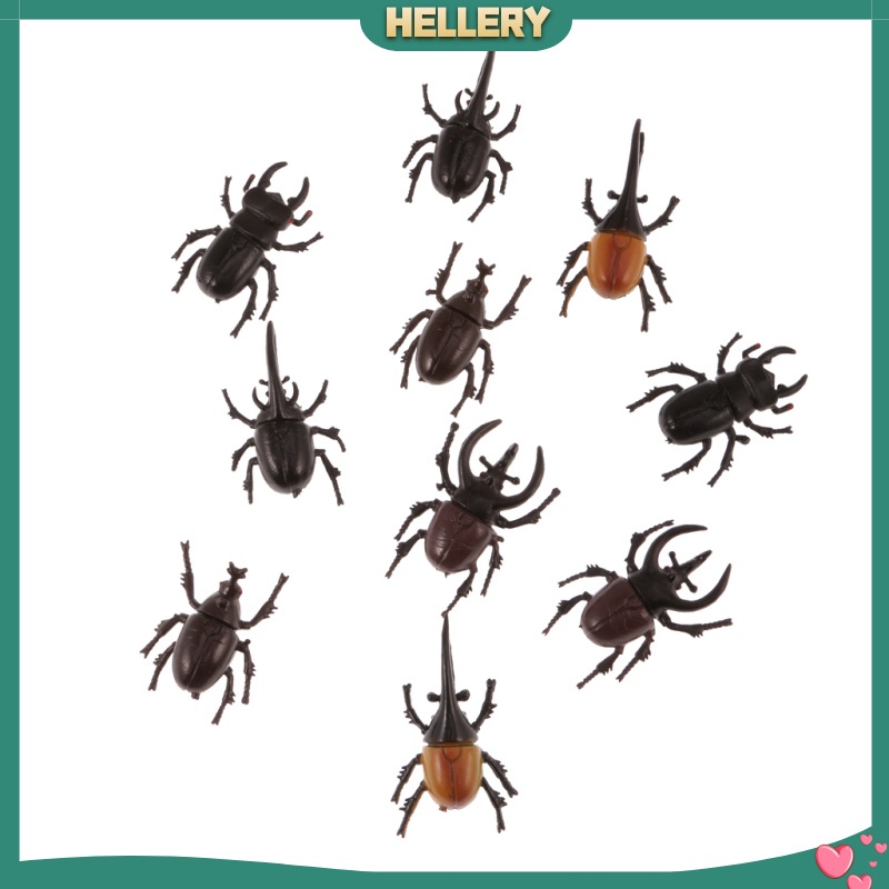 Set 10 Mô Hình Côn Trùng Bằng Nhựa Cho Bé