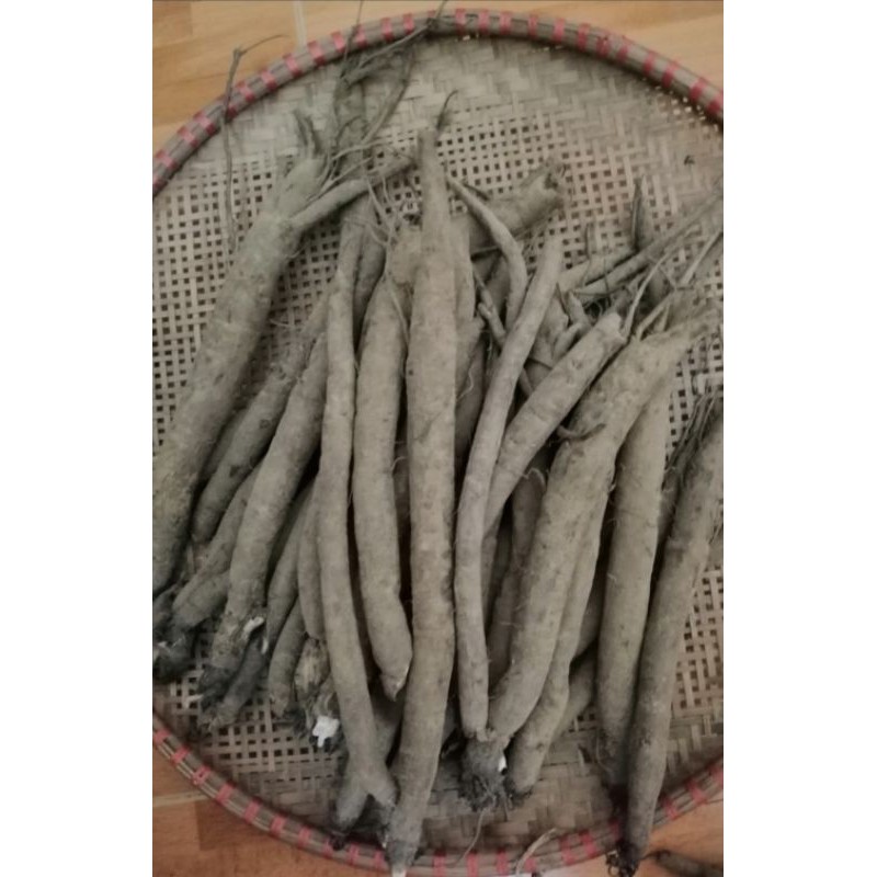 Ngưu bàng khô hữu cơ 500g củ ngưu bàng sấy khô chuẩn Vietgap