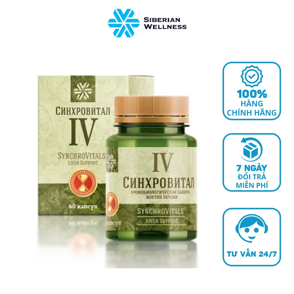 Viên bổ gan hỗ trợ bảo vệ và tăng cường chức năng gan Synchrovitals IV - Siberian Wellness - Hộp 60 viên