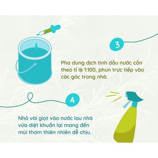 Tinh dầu tràm gió lọ 50ml