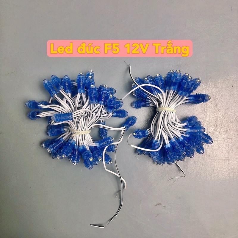 Dây trang trí đúc F5 quấn cây chịu nước 12V , Hàng chuẩn chống nước tuyệt đối ledthanhphat
