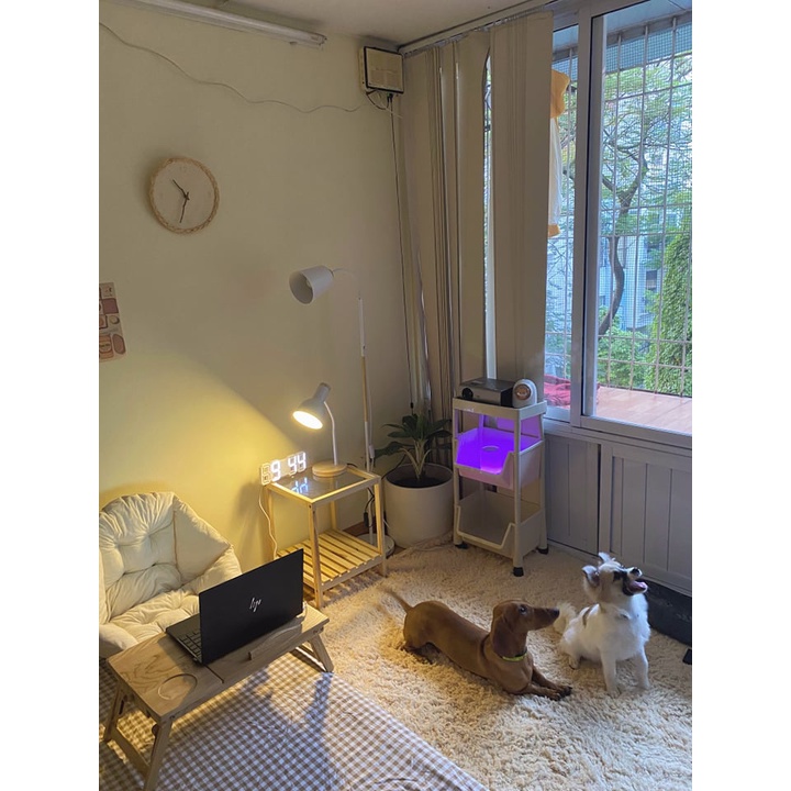 Thảm trải sàn phòng ngủ, phòng khách phong cách Hàn Quốc - Căn Phòng Chill