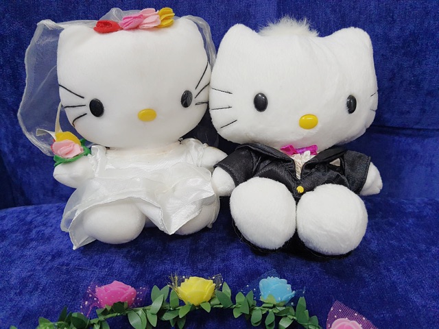 Gấu bông kitty các cặp cô dâu chú rể các mước