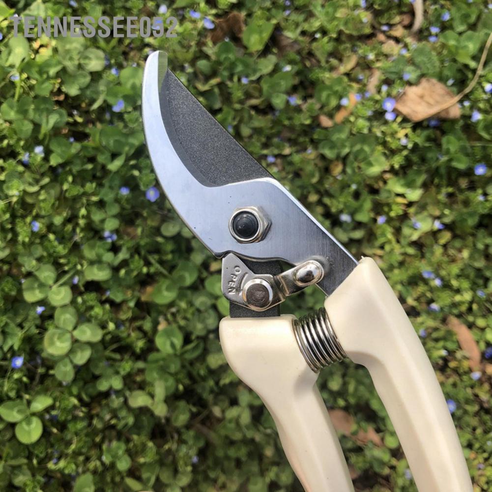 Tennessee052 Pruning Shears Strong Resilience Ergonomic Design Buckle Storage Gardening with Nonslip Handle for Miniascape