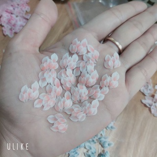 hoa bột nail hoa ẩn chân