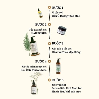 [COMBO TIẾT KIỆM] BỘ CHĂM SÓC TÓC TOÀN DIỆN handmade