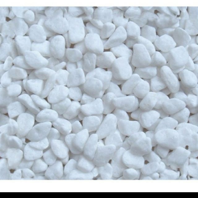 500g sỏi trắng trang trí chậu cây nhà cửa