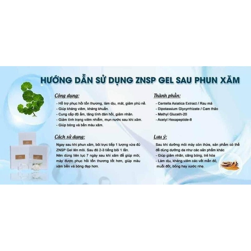 Tế Bào Gốc ZNSP Hàn Quốc Cho Môi Phun Xăm Lăn Kim