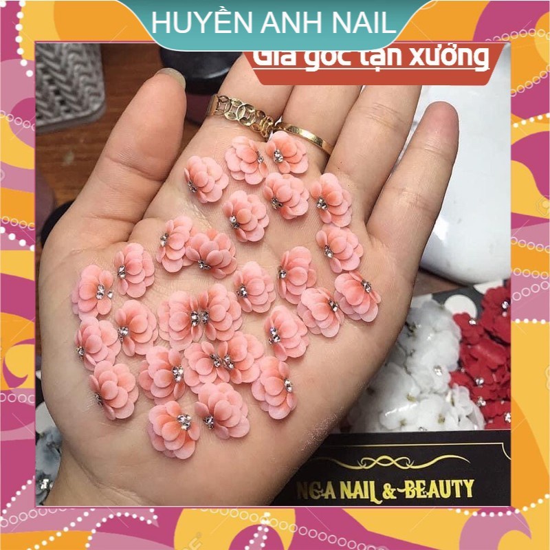 Cúc tầng bột mỹ (hoa bột đẹp ) SHOP NAIL HUYỀN ANH