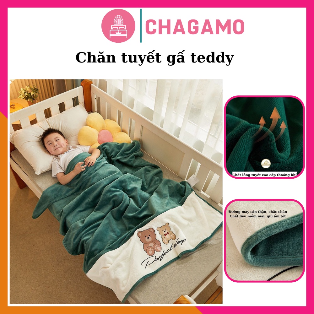 Chăn Tuyết Gấu TEDDY cho bé yêu  Mền Lông Tuyết cho bé đi học siêu mềm mịn