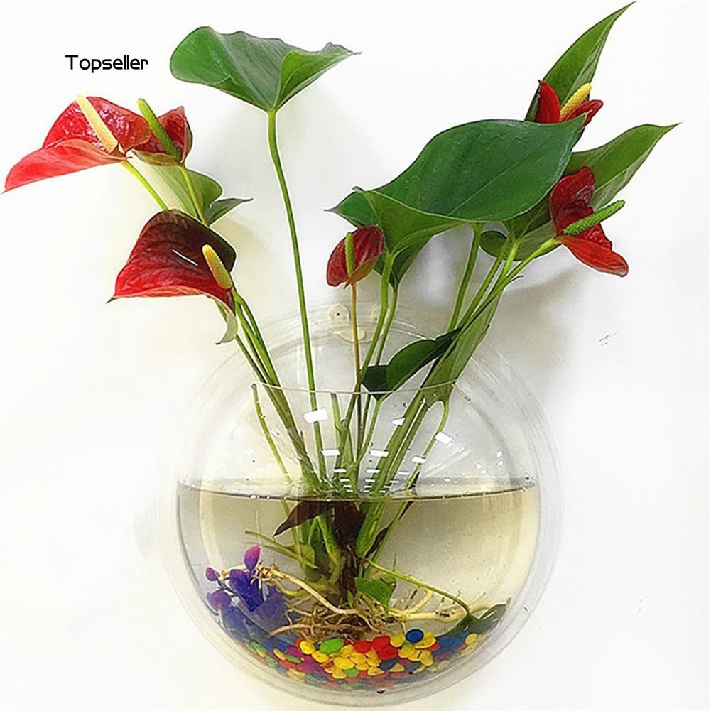 Set bình hoa thủy sinh gắn tường bằng acrylic hình tròn trong suốt đẹp mắt