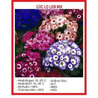 Combo 100k tùy chọn hạt giống hoa - 100gr