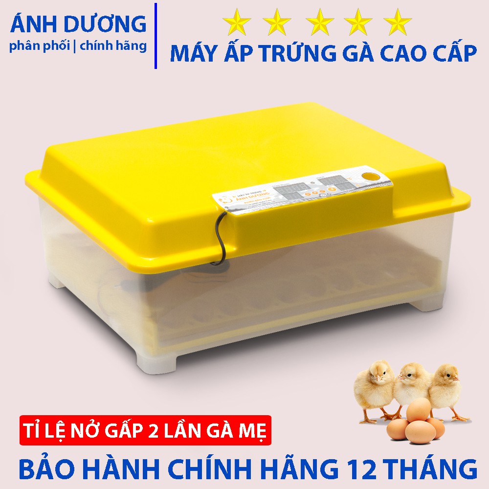 Máy ấp trứng gà mini Ánh Dương A100 lắp sẵn hoàn thiện, đảo tự động 54 trứng (khay nhựa)