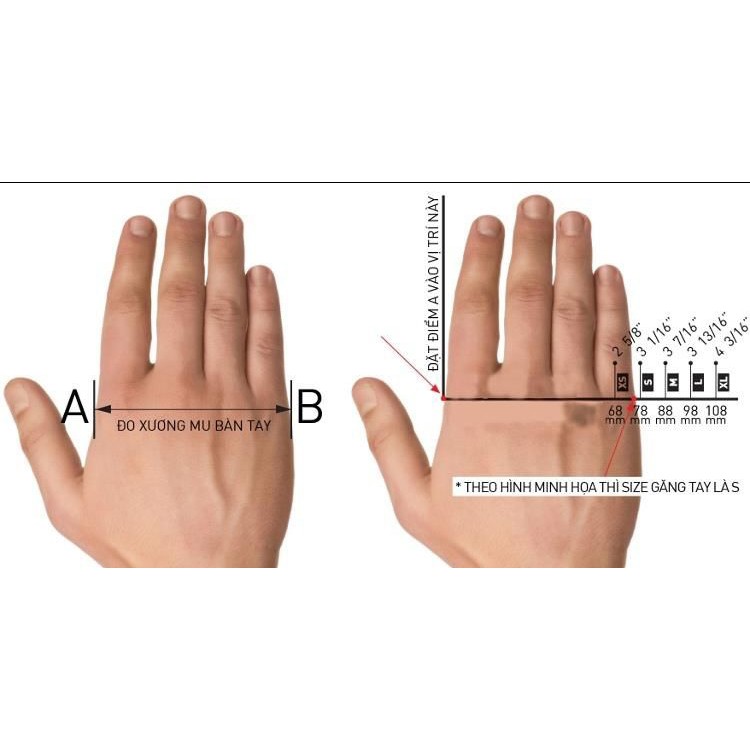 [1 ĐÔI] Găng tay tiệt trùng không bột/có bột Malaysia