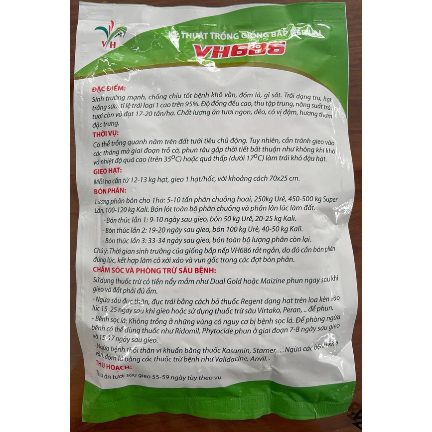 Hạt giống Bắp nếp lai VH686  _55 ngày thu hoạch_ Cty Giống Cây Trồng Việt Hòa