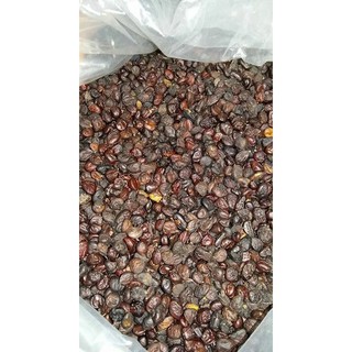 100G HẠT DỔI RỪNG