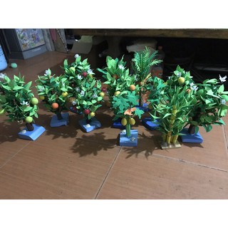 cây xanh đồ dùng mầm non