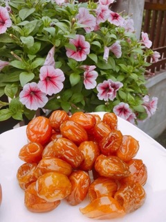 Táo sấy dẻo không hạt
