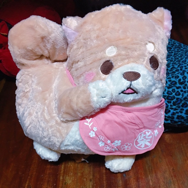 Gấu Bông Chuken Mochi Shiba Kyuntto !