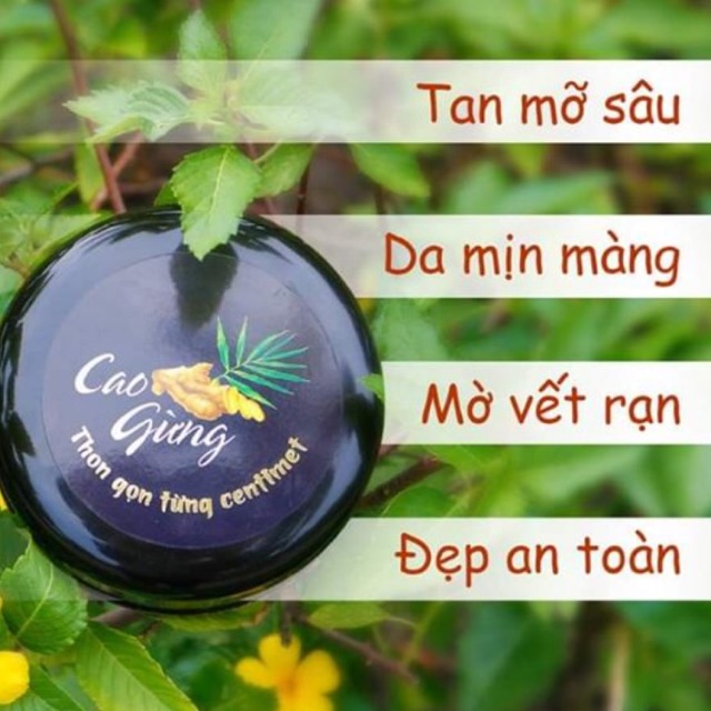 Cao gừng tan mỡ