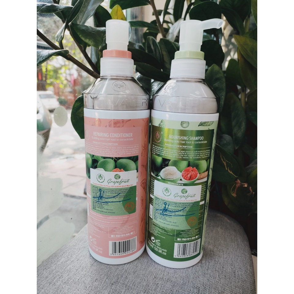 Dầu gội xả bưởi VALERT GRAPEFRUIT 850ml tặng xịt bưởi VITALYCIL phục hồi, chống rụng kích mọc tóc