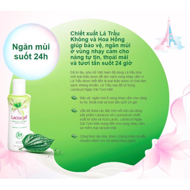 Lactacyd dung dịch vệ sinh phụ nữ lá trầu 150ml va 250 ml