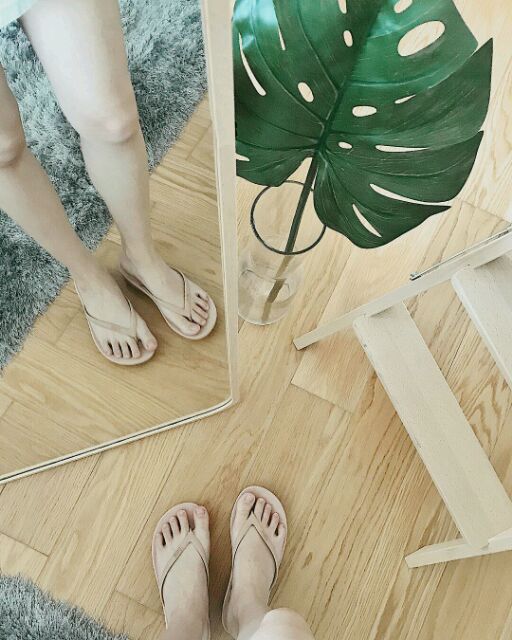 Lá trầu bà Pháp monstera - đạo cụ chụp ảnh, trang trí nhà