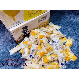 BÁNH SỮA CHUA MIX VỊ - BÁNH SỮA CHUA HORSH ĐÀI LOAN - ĂN VẶT BÁNH KẸO - 500gr