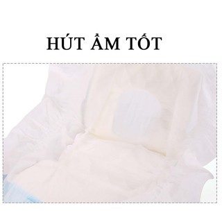 Tã Quần Cho Chó Cái (10 Miếng)