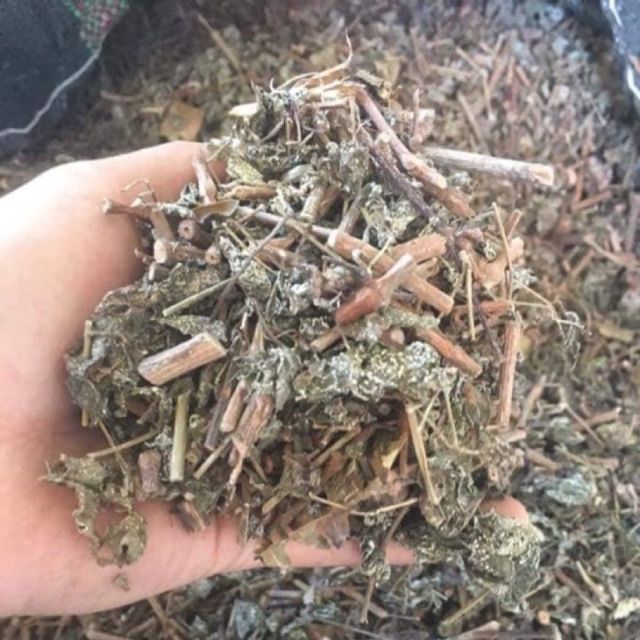 1 Kg chè dây, chè dây khô Cao Bằng🌻[FREESHIP]hỗ trợ đau dạ dày