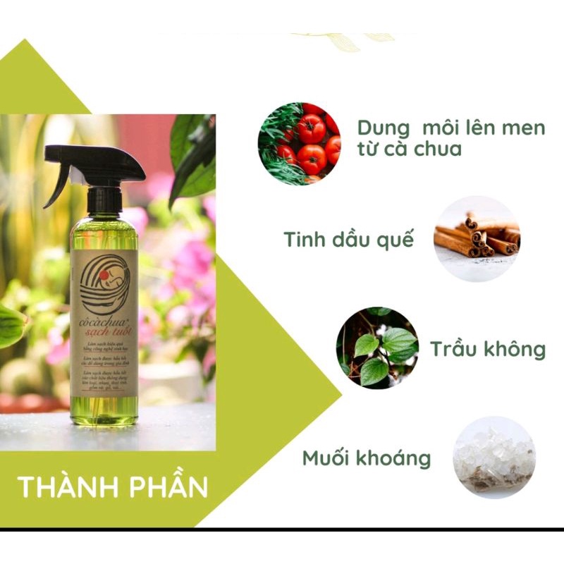 CÔ CÀ CHUA SẠCH TUỐT TẨY RỬA  ĐA NĂNG/ CỌ TOILET 500ML - REFILL 1 lít
