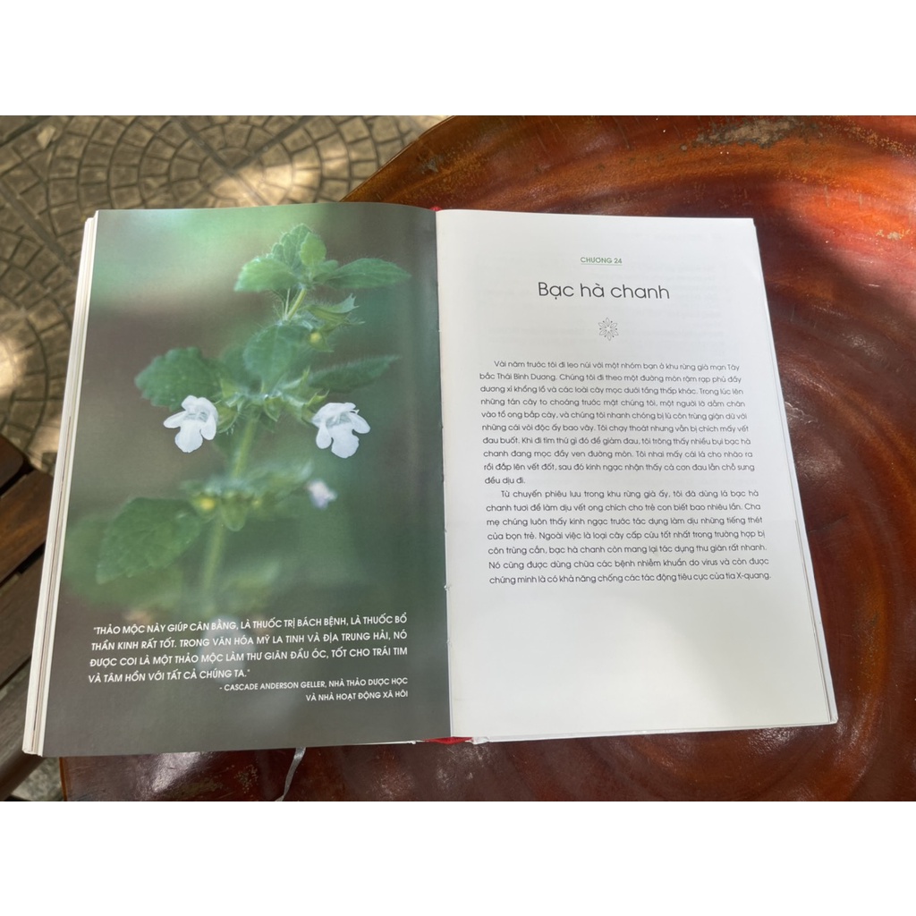 Sách - [Bìa cứng in màu, tặng kèm bookmatk]  Năng lượng sống từ thảo dược - Rosalee de la Forêt - Huy Hoang Bookstore