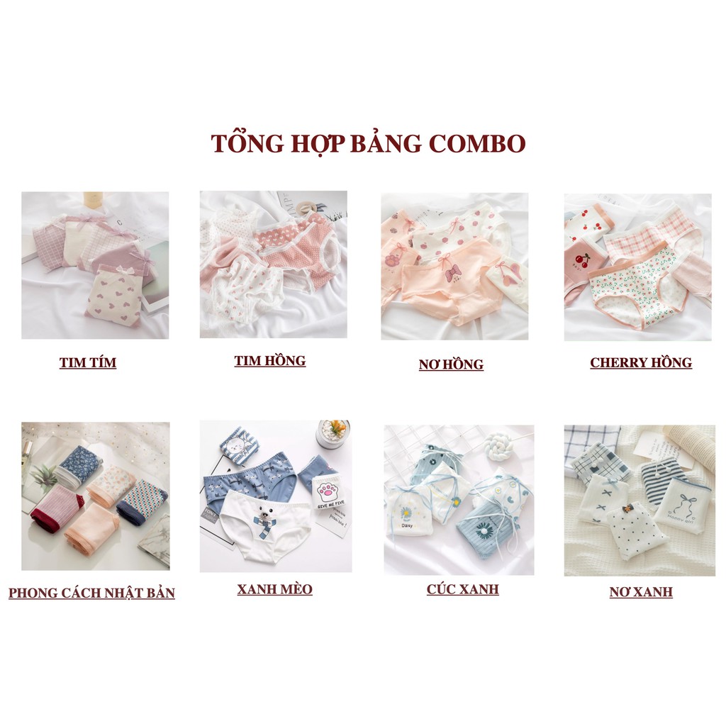 Combo 5 Quần Lót Cotton Chống Viêm Kháng Khuẩn Cạp Vừa Quần Chip Bigsize Set 5 Quần Q229