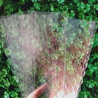  COMBO 10 LÁ GELATIN EWALD NHẬP KHẨU TỪ ĐỨC {3.4g} 