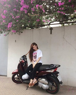 Áo thun in chó đeo nơ siêu đáng yêu ( full size )