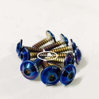 Bộ 10 con ốc Proti răng Thưa Xi Titan gắn dàn áo xe máy (Inox 100%)