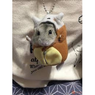 áo cho chuột hamster