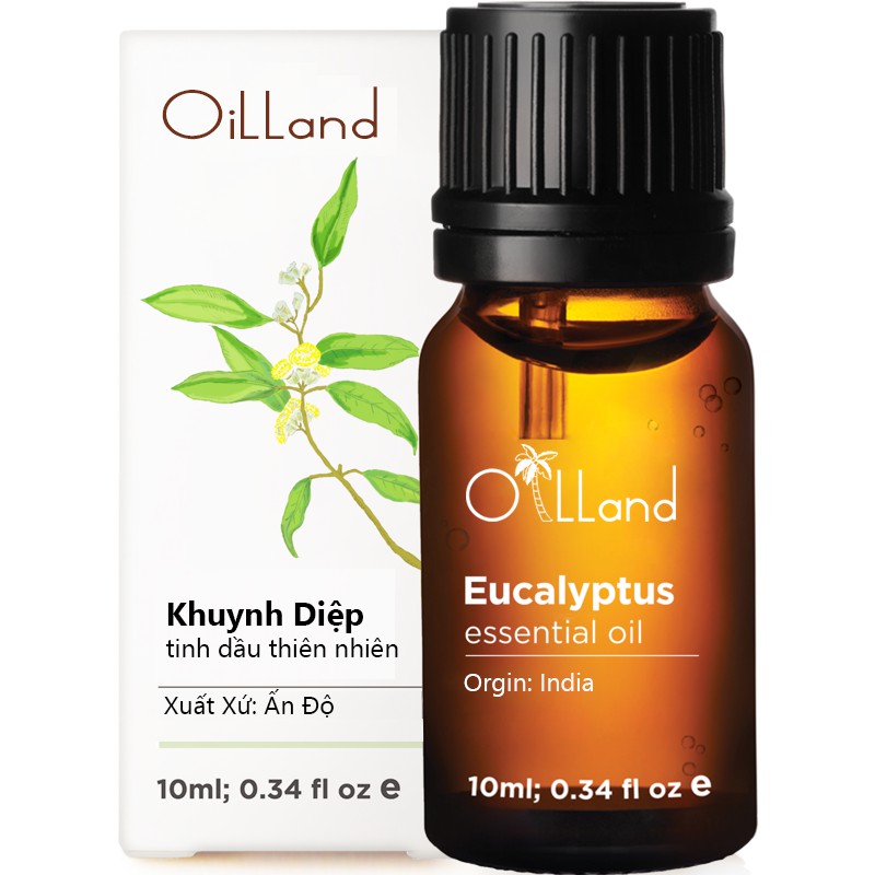 Tinh Dầu Khuynh Diệp ( Oilland-Eucalyptus done )