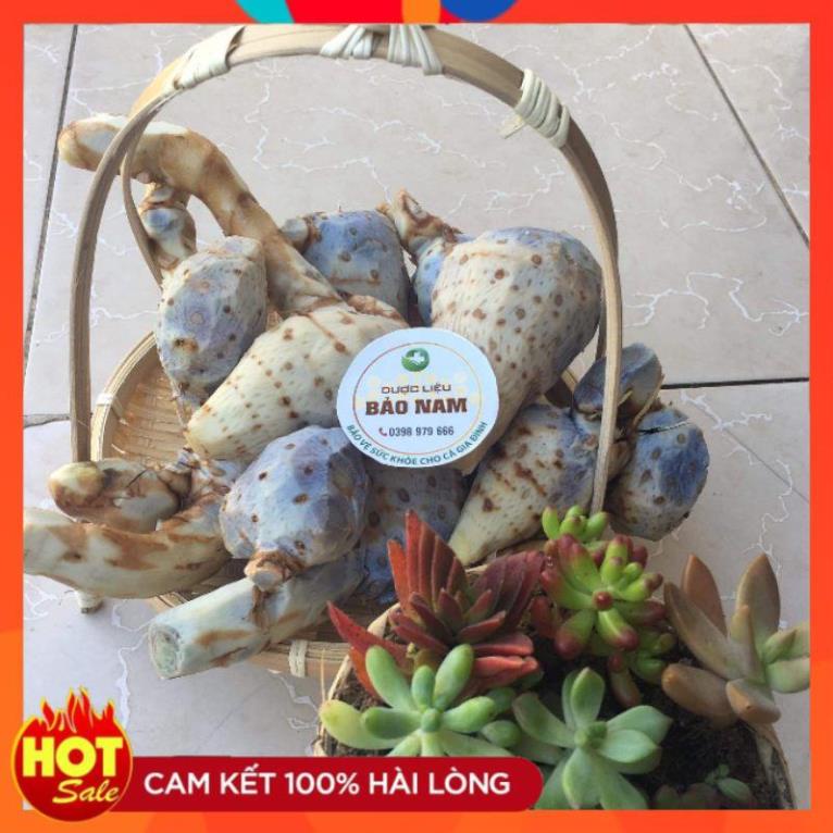 Củ Nghệ đen rừng già Lai Châu, 100% tự nhiên -1kg