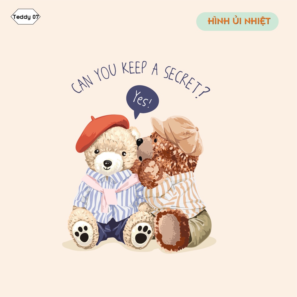 HÌNH ỦI NHIỆT - DECAL ỦI ÁO HÌNH GẤU TEDDY