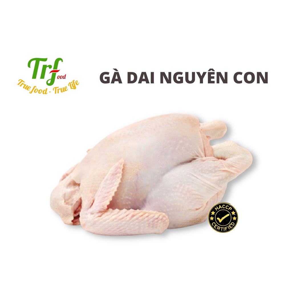 Gà dai nguyên con nhập khẩu Truefood 1.3-1.5kg  [HN ship hỏa tốc]