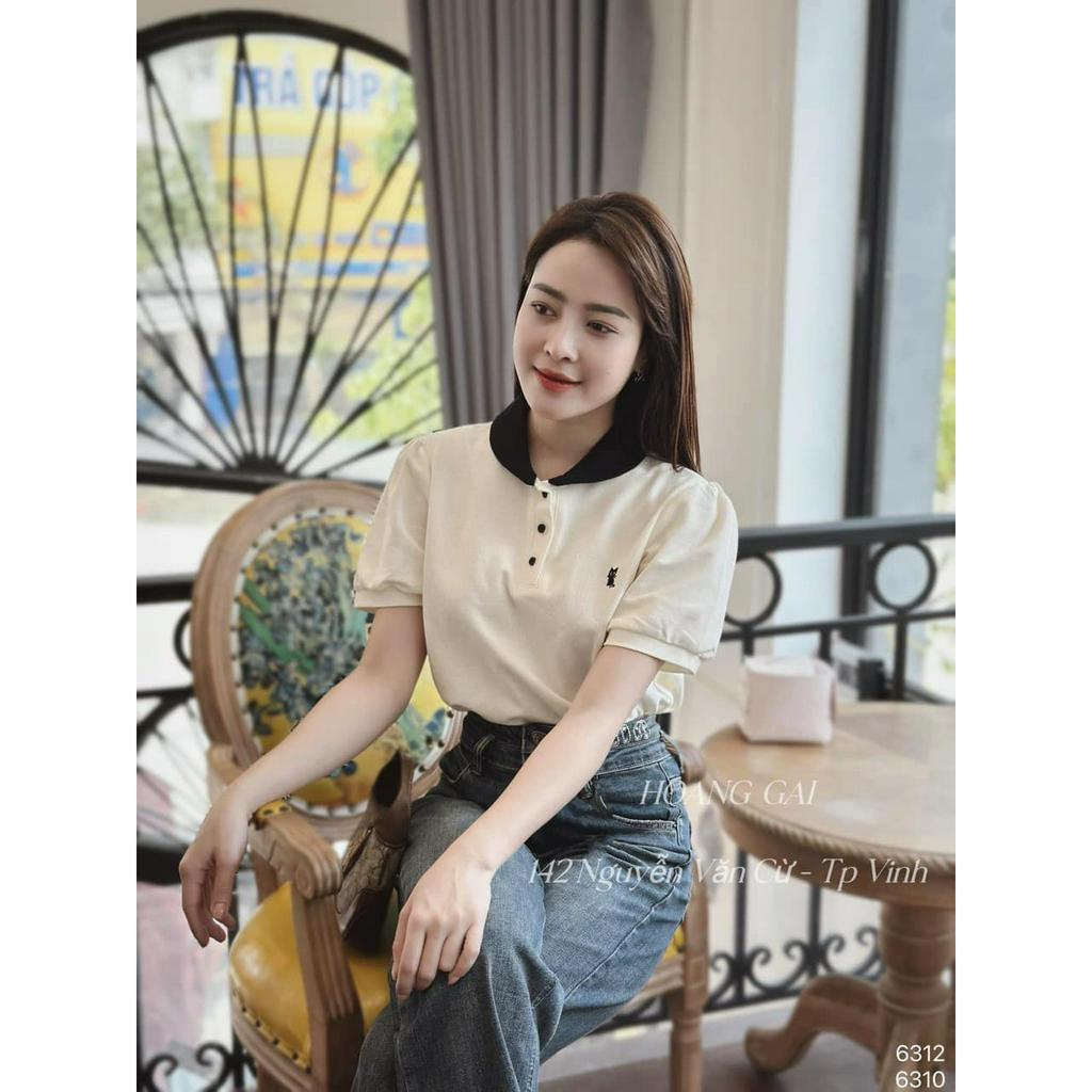Áo phông polo cổ pha cài cúc in hình mèo con 4 màu