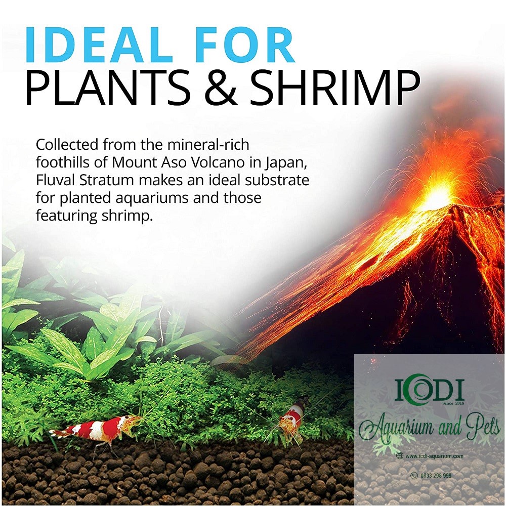 Phân Nền Thủy Sinh FLUVAL Stratum và Bio Stratum